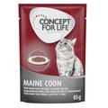 48x85g Maine Coon Adulte en ragout Concept for Life - Pâtée pour chat