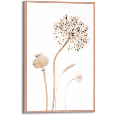 Poster REINDERS "Trockenblumen", beige (farbe bild(er): beige), B:20cm H:30cm T:1,6cm, MDF, Bilder Image