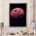 Ebern Designs Burgundy Abstract Flower - Modern Canvas Wall Decor Canvas in Black/Pink | 12 H x 8 W in | Wayfair 9BA404E6B3B442B681838BBE84FCC9AF