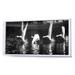 Ebern Designs Black & White Photography of Swan - Photograph on Canvas Canvas, Cotton in Black/White | 12 H x 20 W x 1 D in | Wayfair
