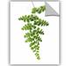 Gracie Oaks Ayleene Green Maidenhai Removable Wall Decal Vinyl in Green/White | 10 H x 8 W in | Wayfair 3A56EF473AF44F299FB89D4D2453EFD5