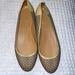 J. Crew Shoes | J.Crew Quorra Alabaster Perforated Leather Laced Ballet Flats | Color: Tan | Size: 10