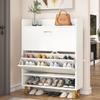 Shoe Cabinet, Brown Shoe Storage Organizer with 2 Compartment - 2-Tier