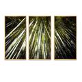 Millwood Pines Long Bamboos In Bamboo Forest - Forest Framed Canvas Wall Art Set Of 3 Metal in Black/Green | 32 H x 48 W x 1 D in | Wayfair