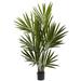 Nearly Natural Home Decor 4 Kentia Palm Silk Tree
