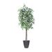 Vickerman 6 Artificial Variegated Ficus Tree Gray Round Plastic Container