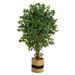 Nearly Natural 5.5 Palace Ficus Artificial Tree in Handmade Natural Cotton Planter