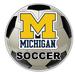 R and R Imports Michigan Wolverines 4-Inch Round Soccer Ball Vinyl Decal Sticker