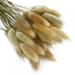 50Pcs Rabbit Tail Dried Flowers Eternal Flower Dried Grass Flower Bouquet Home Decoration Photo Props Home Party and Wedding Decor