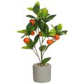 Potted Plants Kumquat/Lemon/Cherry/Chili Home Decoration Simulation Fake Greenery Craft Ssupplies Artificial Orange Tree
