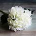 3 PCS White Hydrangea Silk Flowers Heads Ivory White Full Hydrangea Flowers Artificial with Stems - for Wedding Home Party Shop Baby Shower Decoration