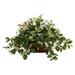 Nearly Natural Platic 16 Hoya Artificial Plant in Decorative Planter Green