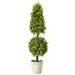 Regency International Foliage Greenery Spring Boxwood Ball Cone Topiary 36