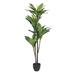 Vickerman 60 Artificial Real Touch Dracaena.