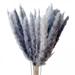 dried pampas grass Dried Pampas Grass Plumes Home Bedroom Decoration Natural Reed Dried Pampas Bouquet Branches Flower Home Arrangements Dried Flower Bouquet Plants Dried Flowers For Vase Boho