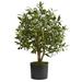 Nearly Natural 29 Olive Artificial Tree