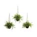 Nearly Natural 9 Mini Ruscus Sedum & Sprengeri Green Plastic Artificial Plants in Hanging Basket (3 Pieces)