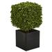 Nearly Natural 27 Boxwood Artificial Topiary in Black Planter (Indoor/Outdoor)