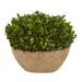 Nearly Natural 12 Preserved Natural Boxwood Artificial Plant in Oval Planter Green