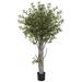 Nearly Natural 6 ft. Olive Tree With 3864 Leaves