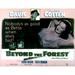 Beyond The Forest Joseph Cotten Bette Davis 1949 Movie Poster Masterprint (14 x 11)