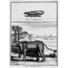 Hippopotamus 1735. /Nline Engraving From Benoit De Maillet S Description De L Egypte 1735. Poster Print by (24 x 36)