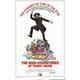 Posterazzi MOV232704 Mad Adventures of Rabbi Jacob Movie Poster - 11 x 17 in.