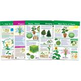 All About Plants Bulletin Board Chart Set â€“ Set of 5