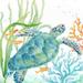 Sea Life Serenade IV Poster Print by Cynthia Coulter