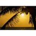 Posterazzi Silhouette of A Coconut Tree with An Orange Sky at Sunrise & The Ocean on The Horizon Poster Print - 38 x 24 in. - Large