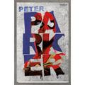 Marvel Spider-Man: No Way Home - Parker 16.5 x 24.25 Framed Poster by Trends International