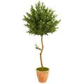 Nearly Natural 63-In. Olive Topiary Artificial Tree in Terra Cotta Planter UV Resistant (Indoor/Outdoor)