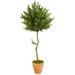 Nearly Natural 63-In. Olive Topiary Artificial Tree in Terra Cotta Planter UV Resistant (Indoor/Outdoor)