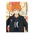 Riapawel Haikyuu Poster 12X16 Inch Cartoon Character Printed Paper Poster Home Decor Wall Art Poster Anime Fans Best Gift