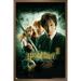 Harry Potter and the Chamber of Secrets - International One Sheet Wall Poster 14.725 x 22.375 Framed