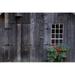Wooden Building & Window Box Poster Print by David Chapman 34 x 22 - Large