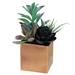 Northlight 7 Mixed Succulent Artificial Potted Arrangement - Green/Black