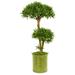 41 Bonsai Styled Podocarpus Artificial Tree in Metal Planter