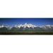 Panoramic Images PPI113015L Trees in a forest with mountains in the background Teton Point Turnout Teton Range Grand Teton National Park Wyoming USA Poster Print by Panoramic Images - 36 x 12