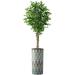 Artificial Tree in Modern Planter Fake Ficus Silk Tree for Indoor and Outdoor Home Decoration - 75 Overall Tall (Plant Pot Plus Tree)