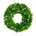 Nearly Natural Plastic All Occasion Jasmine Artificial Wreath 13 (Green)