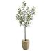Nearly Natural T2553 5.5 ft. Olive Artificial Tree in Sand Colored Planter
