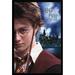 Harry Potter and the Prisoner of Azkaban - Wand One Sheet Wall Poster 22.375 x 34 Framed