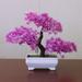 Hi.FANCY Decorative Pot with Artificial Plant Simulation Ball Bonsai Home Decorative Flower Ornament Pine Tree