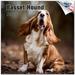 2023 2024 Basset Hound Calendar - Dog Breed Monthly Wall Calendar - 12 x 24 Open - Thick No-Bleed Paper - Giftable - Academic Teacher s Planner Calendar Organizing & Planning - Made in USA