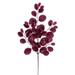 Vickerman 25 Burgundy Artificial Dogwood Glitter Spray 3 per bag.