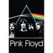 Pink Floyd - Dark Side Group - Wall Poster: 24 Inches X 36 Inches (Paperback)