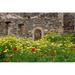 Old building and wildflowers Island of Spinalonga Crete Greece Poster Print by Scott T. Smith (35 x 23)