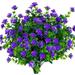 GRNSHTS 6 Pcs Outdoor Artificial Flowers UV Resistant Fake Boxwood Plants Faux Plastic Greenery for Indoor Outside Garden Porch Window Box Home Wedding Decor(Purple)