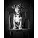 Mutt Black and White Poster Print by Edward M. Fielding (10 x 8)